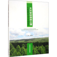 大兴安岭森林土壤有机碳特征及其环境效应 王冰 著 专业科技 文轩网