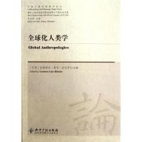 全球化人类学 (巴西)古斯塔夫?林司?里贝罗 著作 著 经管、励志 文轩网