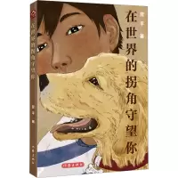 在世界的拐角守望你 翌平 著 少儿 文轩网