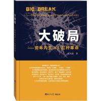 大破局 宋光磊 著 经管、励志 文轩网