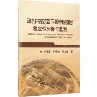 动态开挖扰动下采空区围岩稳定性分析与监测 卢宏建,李示波,李占金 著 著 专业科技 文轩网