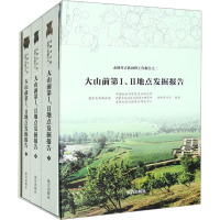 大山前第1、2地点发掘报告(全3册) 赤峰考古队 编 社科 文轩网