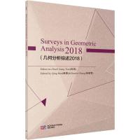 几何分析综述2018 田刚,韩青,张振雷 著 专业科技 文轩网