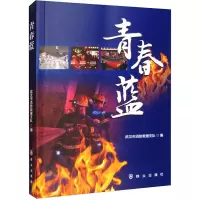 青春蓝 武汉市消防救援支队 编 文学 文轩网