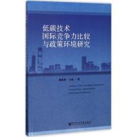 低碳技术国际竞争力比较与政策环境研究 蒋佳妮,王灿 著 经管、励志 文轩网