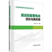 退运铅酸蓄电池活化与再利用 赵光金 等 编 专业科技 文轩网