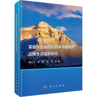 星载仪器观测的夏季青藏高原云降水及辐射研究 傅云飞 等 著 专业科技 文轩网