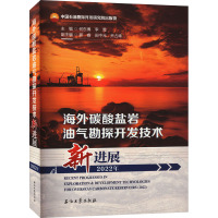海外碳酸盐岩油气勘探开发技术新进展 2022年 何东博,李勇 编 专业科技 文轩网