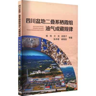 四川盆地二叠系栖霞组油气成藏规律 杨雨 等 著 专业科技 文轩网