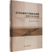 阵列电磁波全域流动成像测井方法与应用 魏勇,陈强,陈猛 著 专业科技 文轩网