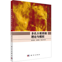 多孔介质燃烧理论与模拟 解茂昭,史俊瑞,刘宏升 著 专业科技 文轩网