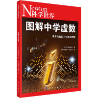 图解中学虚数 日本牛顿出版社 编 《科学世界》杂志社 译 文教 文轩网