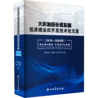 大庆油田长垣东部低渗透油田开发技术论文集(2016-2020年) 姬生柱 编 专业科技 文轩网