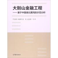 大别山金融工程 叶永刚 等 著 经管、励志 文轩网