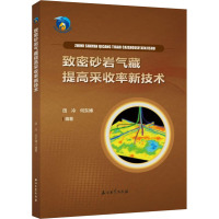 致密砂岩气藏提高采收率新技术 田冷,何东博 编 专业科技 文轩网