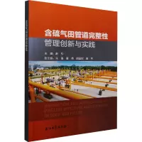 含硫气田管道完整性管理创新与实践 赵松 编 专业科技 文轩网