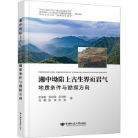 湘中坳陷上古生界页岩气地质条件与勘探方向 张保民 等 著 专业科技 文轩网