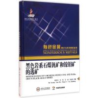 黑色岩系石煤钒矿和镍钼矿的选矿 胡岳华 等 著 著 专业科技 文轩网