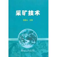 采矿技术 陈国山 主编 专业科技 文轩网