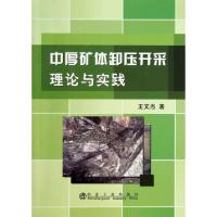 中厚矿体卸压开采理论与实践 王文杰 专业科技 文轩网