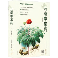 云南中草药 40年经典版 云南中草药整理组 编 生活 文轩网