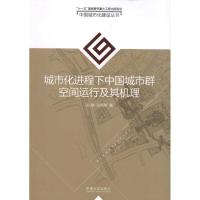 城市化进程下中国城市群空间运行及其机理 彭翀 著作 专业科技 文轩网