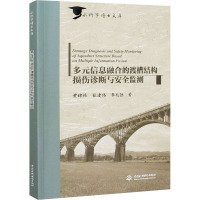 多元信息融合的渡槽结构损伤诊断与安全监测 黄锦林,张建伟,李兆恒 著 专业科技 文轩网