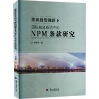 能源投资视野下国际投资条约中的NPM条款研究 杨福学 著 经管、励志 文轩网