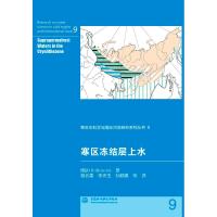 寒区冻结层上水/寒区水科学与国际河流研究系列丛书9