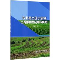 东北黑土区小流域土壤侵蚀监测与模拟 王爱娟 著 著 专业科技 文轩网