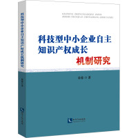 科技型中小企业自主知识产权成长机制研究 易蓉 著 社科 文轩网