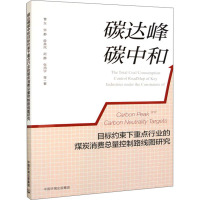 碳达峰碳中和目标约束下重点行业的煤炭消费总量控制路线图研究 曹东 等 著 专业科技 文轩网