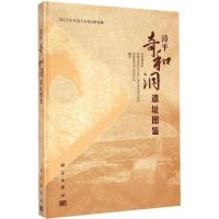 漳平奇和洞遗址图鉴 福建博物院,福建省龙岩市文化广播电视新闻出版局,福建漳平市文化体育局 编著 著 社科 文轩网