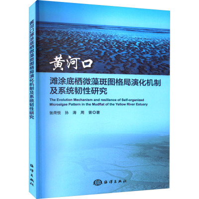 黄河口滩涂底栖微藻斑图格局演化机制及系统韧性研究 张荷悦,孙涛,周曾 著 专业科技 文轩网