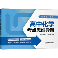 新高考一图通 高中化学考点思维导图 张鹏生 著 王丽娜 编 文教 文轩网