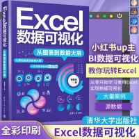 Excel数据可视化:从图表到数据大屏 郭宏远 著 专业科技 文轩网