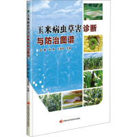 玉米病虫草害诊断与防治图谱 岳瑾,张智,王泽民 编 专业科技 文轩网