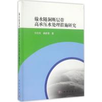 输水隧洞断层带高承压水处理措施研究 刘汉东,路新景 著 专业科技 文轩网