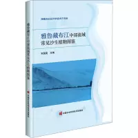 雅鲁藏布江中部流域常见沙生植物图鉴 宋国英 编 专业科技 文轩网