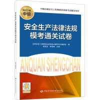 安全生产法律法规模考通关试卷 2023版 注册安全工程师职业资格考试辅导用书编委会 编 专业科技 文轩网