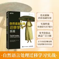 自然语言处理迁移学习实战 [加纳] 保罗·阿祖雷(Paul Azunre) 著 李想 朱仲书 张世武 译 专业科技