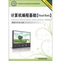 计算机编程基础 Visual Basic 薛尚青,王健 编 专业科技 文轩网