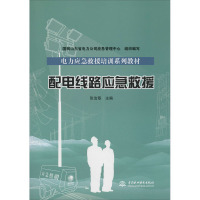 配电线路应急救援 国网山东省电力公司应急管理中心 编 专业科技 文轩网