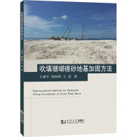 吹填珊瑚礁砂地基加固方法 王建平,顾琳琳,王振 著 专业科技 文轩网