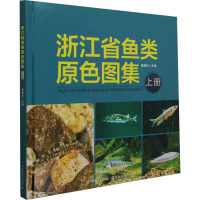 浙江省鱼类原色图集 上册 原居林 编 专业科技 文轩网