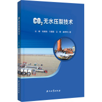 CO2无水压裂技术 王峰 等 著 专业科技 文轩网