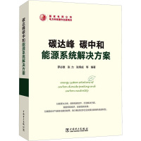 碳达峰碳中和能源系统解决方案 罗必雄 等 编 专业科技 文轩网