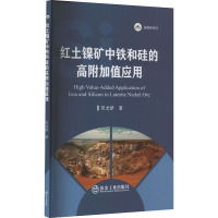 红土镍矿中铁和硅的高附加值应用 常龙娇 著 专业科技 文轩网