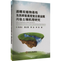 酒糟炭植物毒性及其修复重度复合重金属污染土壤机理研究 朱启红 等 著 专业科技 文轩网