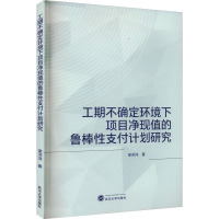 工期不确定环境下项目净现值的鲁棒性支付计划研究 梁洋洋 著 经管、励志 文轩网